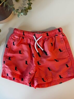 Toddler Boys Swim Trunks 4T Dinosaur Print | Orange Kids Swim Shorts